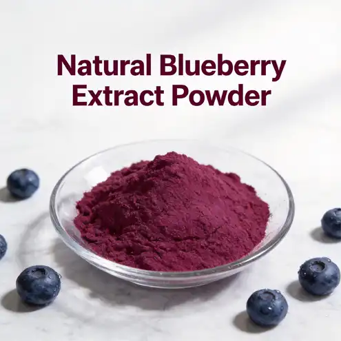 Why Do Brands Prefer Natural Blueberry Extract Powder Today?